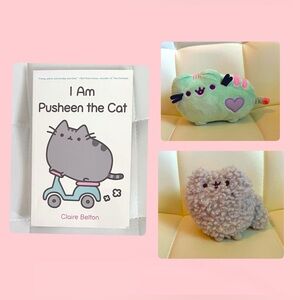 Pusheen Set (Pusheen book, Pastel Pusheen plushie, Stormy Plushie)